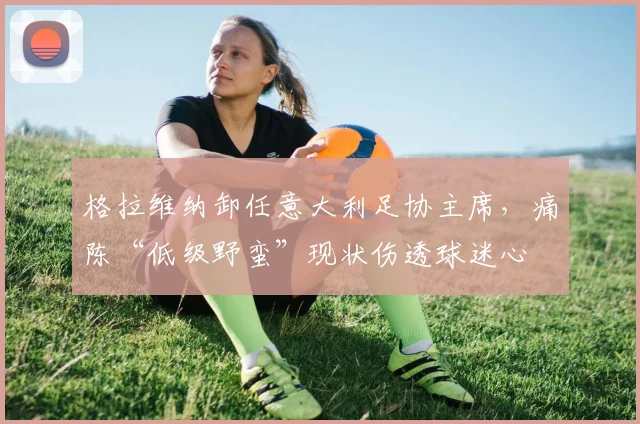 格拉维纳卸任意大利足协主席，痛陈“低级野蛮”现状伤透球迷心