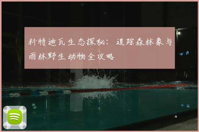 科特迪瓦生态探秘：追踪森林象与雨林野生动物全攻略