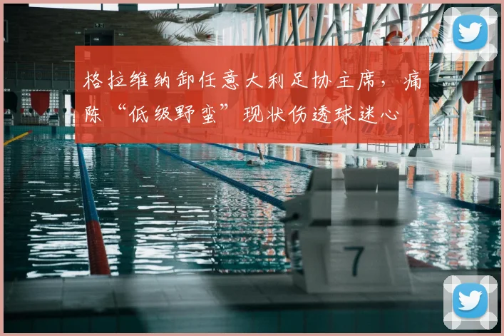 格拉维纳卸任意大利足协主席，痛陈“低级野蛮”现状伤透球迷心